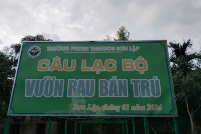 Vườn rau bán trú nhà trường.